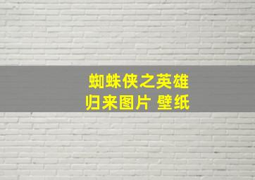 蜘蛛侠之英雄归来图片 壁纸